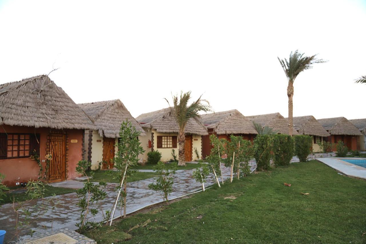 Ośrodek wypoczynkowy Panorama El Gouna