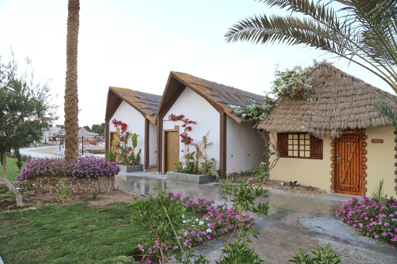 Panorama El Gouna Ośrodek wypoczynkowy Hurghada